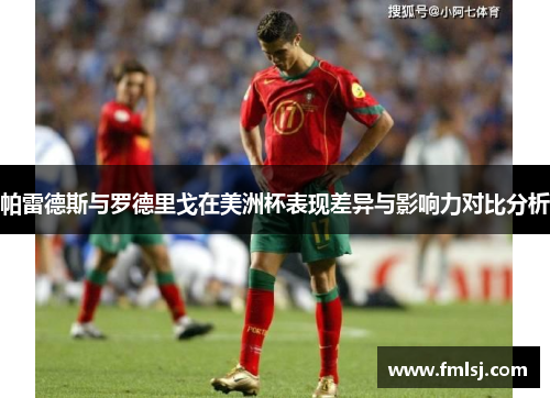 帕雷德斯与罗德里戈在美洲杯表现差异与影响力对比分析