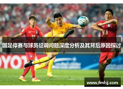 国足停赛与球员征调问题深度分析及其背后原因探讨