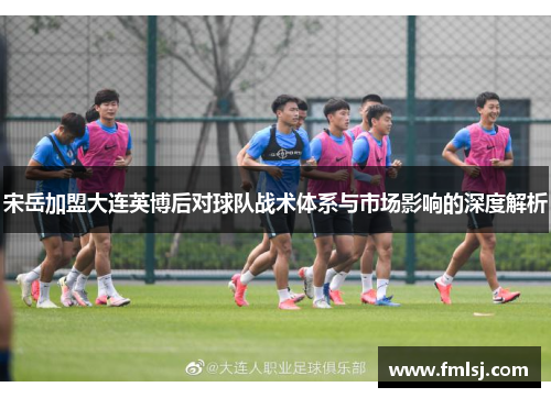 宋岳加盟大连英博后对球队战术体系与市场影响的深度解析