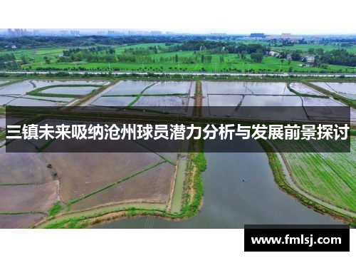 三镇未来吸纳沧州球员潜力分析与发展前景探讨