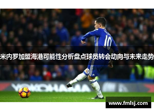 米内罗加盟海港可能性分析盘点球员转会动向与未来走势