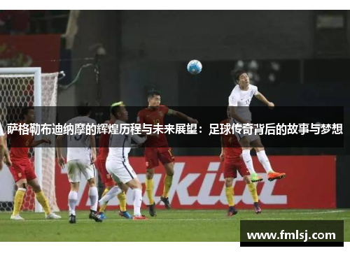 萨格勒布迪纳摩的辉煌历程与未来展望：足球传奇背后的故事与梦想