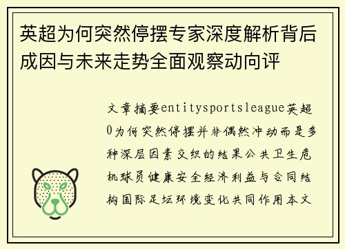 英超为何突然停摆专家深度解析背后成因与未来走势全面观察动向评