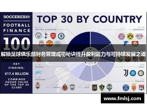 解锁足球俱乐部财务管理成功秘诀提升盈利能力与可持续发展之道